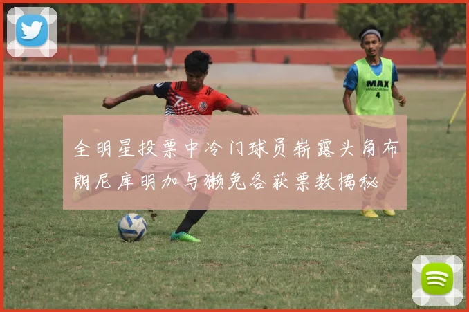 全明星投票中冷门球员崭露头角布朗尼库明加与獭兔各获票数揭秘